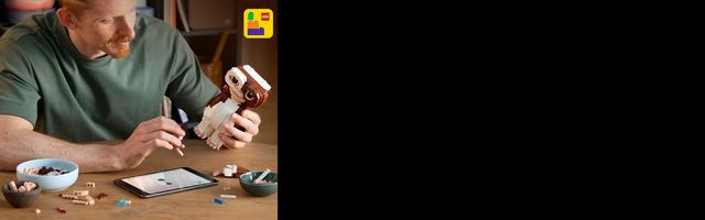 Набор LEGO Gremlins: Gizmo