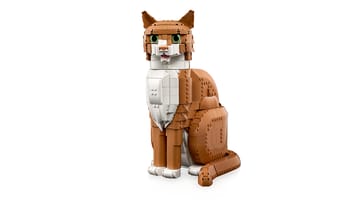 Набор LEGO 21376 Рыжая кошка