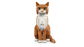 Набор LEGO Рыжая кошка