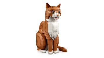 Набор LEGO Рыжая кошка
