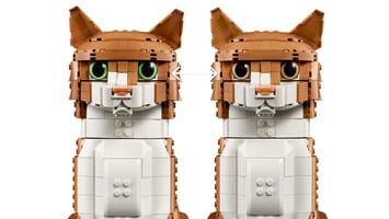 Набор LEGO Рыжая кошка