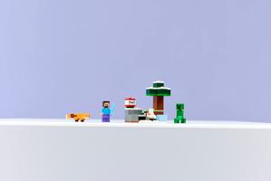 Набор LEGO Steve's Taiga Adventure
