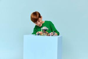 Набор LEGO The Pale Garden