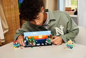 Набор LEGO Mini Biomes