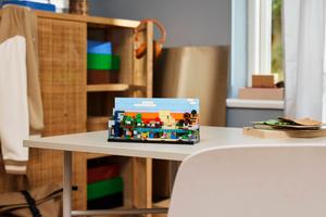 Набор LEGO Mini Biomes