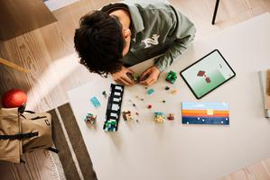 Набор LEGO Mini Biomes