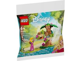 Набор LEGO Aurora's Forest Playground