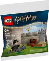Набор LEGO Quidditch Lesson