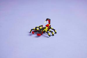 Набор LEGO Wild Animals: Surprising Spider