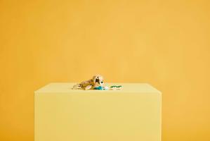 Набор LEGO Cute Bunny