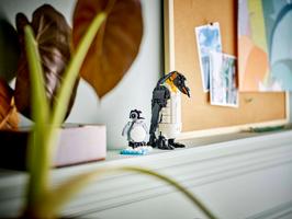 Набор LEGO Wild Animals: Panda Family