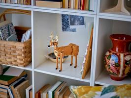 Набор LEGO Beautiful Horse