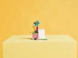 Набор LEGO Typewriter with Flowers