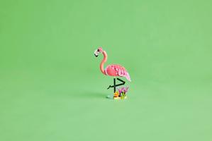 Набор LEGO Wild Animals: Pink Flamingo