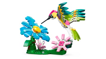 Набор LEGO Дикие животные: красочный колибри