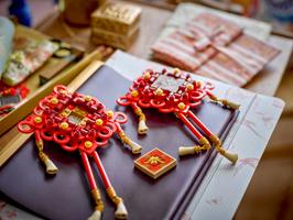 Набор LEGO Lucky Knots