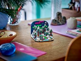 Набор LEGO Northern Lights Diorama
