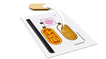 Набор LEGO Lucky Cat