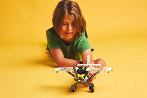 Набор LEGO Bush Plane