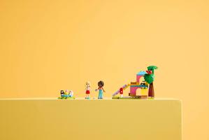 Набор LEGO Guinea Pig Playground