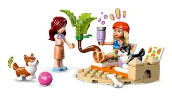 Набор LEGO Surfing Dogs and Scooter Adventure