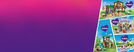 Набор LEGO Friendship Movie Night