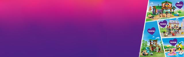 Набор LEGO Friendship Movie Night