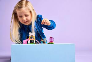 Набор LEGO Puppy Playground