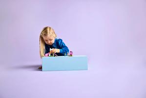 Набор LEGO Puppy Playground