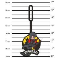 Набор LEGO Harry Potter Quidditch Bag Tag