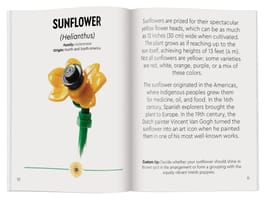 Набор LEGO Botanicals: Tiny Wildflower Bouquet