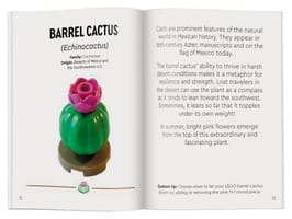 Набор LEGO Botanicals: Tiny Desert Garden