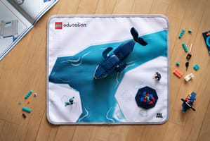 Набор LEGO 5010449 Education Playmat