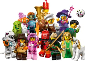 Набор LEGO Серия 29