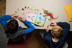 Набор LEGO Mateo's Fire Chameleon