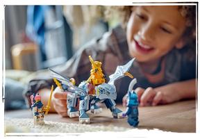 Набор LEGO Young Dragon Riyu