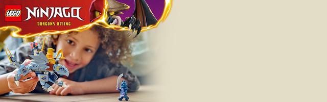 Набор LEGO Young Dragon Riyu