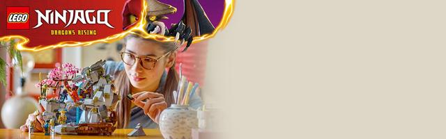 Набор LEGO Dragon Stone Shrine