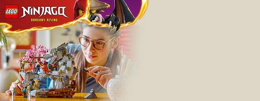 Набор LEGO Dragon Stone Shrine