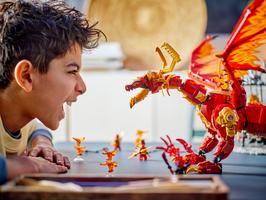 Набор LEGO Source Dragon of Motion