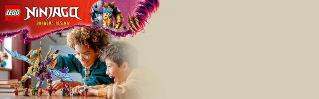 Набор LEGO Arc Dragon of Focus