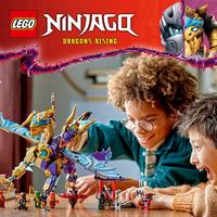 Набор LEGO Arc Dragon of Focus