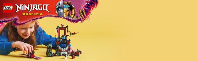 Набор LEGO Dragonian Storm Village