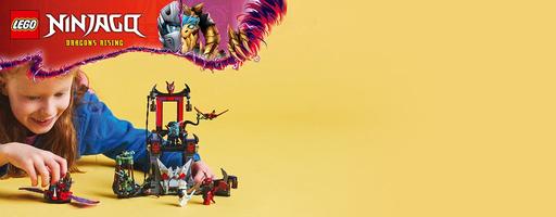 Набор LEGO Dragonian Storm Village