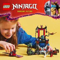 Набор LEGO Dragonian Storm Village