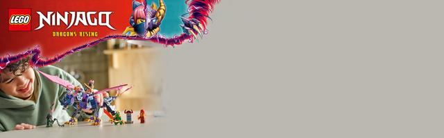 Набор LEGO Rontu the Master Dragon