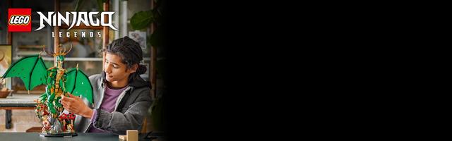 Набор LEGO The Guardian Dragon