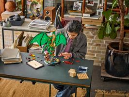 Набор LEGO The Guardian Dragon