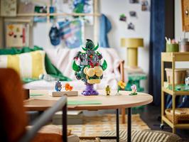 Набор LEGO Prince Florian & Castle Bowser