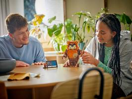 Набор LEGO Wicket the Ewok